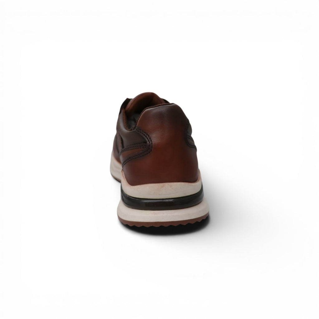 DUCK-3196