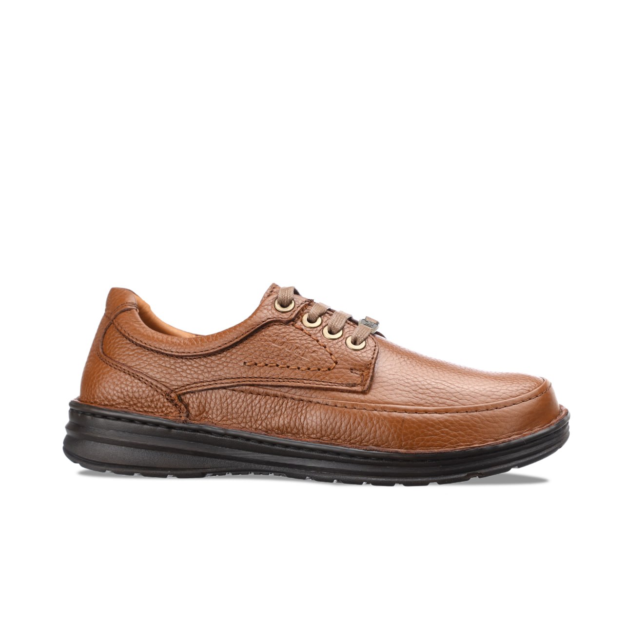 DUCK-0480