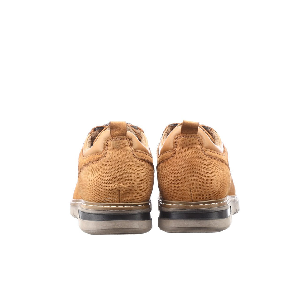 DUCK-288-1